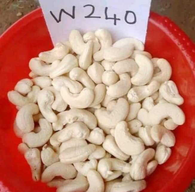 Buy Cashew Nuts In Europe